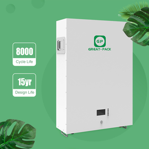 Hot Sale 48V Powerwall Energy Storage Battery Lithium Ion Batteries with Cheap Price - Product Image 6
