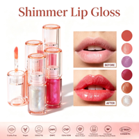 En stock – Vente en gros – Gloss à lèvres végétalien ultra-brillant – Maquillage longue tenue hydratant – Gloss liquide minéral brillant – Marque privée