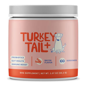 Turki ekor jamur untuk anjing perawatan Lipoma anjing dan benjolan penghilang kutil anjing probiotik bubuk jamur suplemen hewan peliharaan - Product Image 6