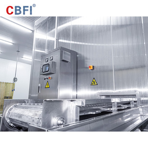 Iqf xoắn ốc Tủ đông đông lạnh số lượng lớn cá tuyết phi lê cá nhân nhanh chóng đông lạnh công nghệ - Product Image 5