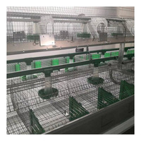 24 cages d'élevage spéciales pour lapins en fil soudé galvanisé