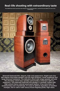 Haut-parleur de luxe pour villa Kyyslb de 12 pouces, amplificateur, haut-parleur haute fidélité, enceintes 2.1 - Product Image 2