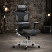 Chaise de bureau ergonomique moderne inclinable en maille avec appui-tête, support lombaire, accoudoirs réglables et base pivotante pour usage domestique ou professionnel
