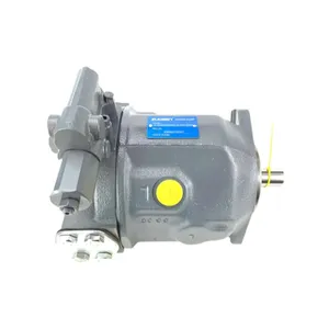 A10VSO45 Rexroth Hydraulic Pump Piston Pump Model A10VSO45DFR/31R-PPA12N00 VPA12N00 Supplied Trusted Hydraulic Pump Supplier