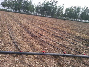 Tuyaux <span class=keywords><strong>d</strong></span>'irrigation goutte à goutte agricoles durables et économiseurs <span class=keywords><strong>d</strong></span>'eau de haute qualité pour systèmes <span class=keywords><strong>d</strong></span>'irrigation efficaces - Product Image 4