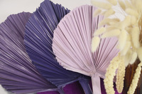 Ventes en gros de vraies feuilles de palmier bleues naturelles, stabilisées, préservées, feuillage en forme de flèche, plantes stabilisées, feuilles de palmier séchées