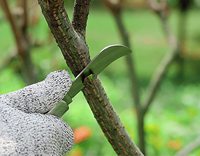 Couteau de greffage de jardinage à double lame avec 2 rubans, manche en bois, couteau de coupe pour greffage agricole, couteau pliable