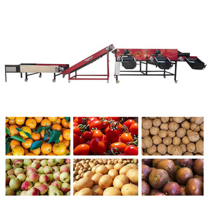Máquina Separadora de Cebollas y Papas <span class=keywords><strong>MARIA</strong></span> de 4 Ton/<span class=keywords><strong>H</strong></span> con Motor, Clasificación de Tamaño, Alta Eficiencia, Potencia de 5.27-10.63KW - Product Image 5