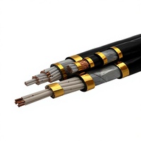 Cable de Comunicación Blindado para Minería Xinqiao MHYVP de 4 Conductores de Cobre Sólido para Uso Subterráneo