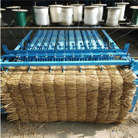Estera de paja de caña eléctrica, máquina de tejer, estera de caña de bambú, precio barato