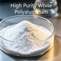 Chlorure de polyaluminium blanc de haute pureté, poudre légère pour une dissolution facile dans l'eau