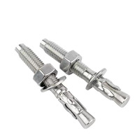 SS304 SS316 Stainless Steel Wedge Anchor Bolt A2-70 Metric M8-M20 Plain Finish Concrete Construction Structural Fastener