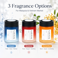Diffuseur de parfum solide en gel rafraîchissant de qualité supérieure pour voiture, longue durée, avec couvercle réglable, sans électricité, pour maison et bureau