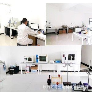 ผงสกัดอาซาอิเบอร์รี่บราซิลเลี่ยนออร์แกนิกบริสุทธิ์ผลิตภัณฑ์สุขภาพ - Product Image 5