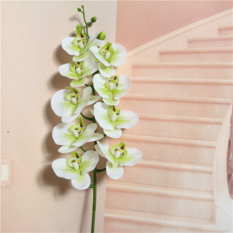 1 # blanc