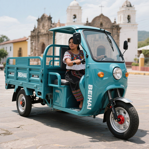 מטען חשמלי הסיטונאי תלת אופן שימוש בחווה מרחוק - Product Image 3
