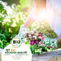 Kit de légumes biologiques de 14 pièces de haute qualité avec pot de fleur de conception animale pour la maison jardin cuisine extérieure utilisation suspendue de bureau