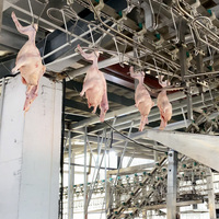 Volaille Poulet Abattoir Équipement de Machine de Ligne de Traitement Automatique À Vendre De L'abattage Halal