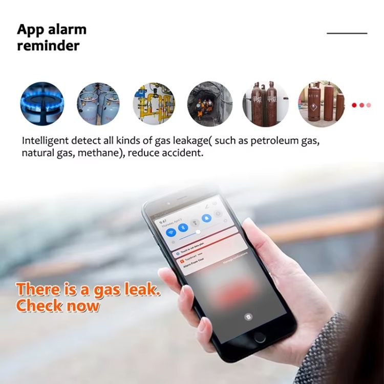 ORANGLES Tuya WiFi Smart Gas Leak Detector | LCD Temperature Display, Voice Alarm, Works with Alexa & Smart Life App – Home Safety Device (Kuwait) - detailed closeup view - illustrating benefits - Image 3 of 6 | created for all | Shop Tuya WiFi Smart Gas Leak Detector | LCD Temperature Display, Voice Alarm, Works with Alexa & Smart Life App – Home Safety Device (Kuwait) North Carolina | Free Shipping ORANGLES