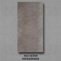 Carrelage en porcelaine aspect béton gris mat moderne 300x600 mm (12x24 pouces) antidérapant, rustique, pour sol et mur, idéal pour la décoration de salle de bain