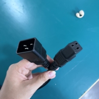Câble d'extension robuste IEC 60320 C20 vers C19 16A 1875W 250V avec conducteurs 14AWG pour applications de serveurs de grande taille