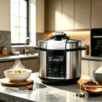 Nouvelle Cocotte-minute Électrique avec Fonction Friture, Écran Tactile Intelligent, Acier Inoxydable, 4L/5L/6L/8L/10L/12L, 100-240V, Vente en Gros Directe Usine