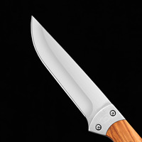 Offre Spéciale : Ensemble de Couteaux de Camping Compact en Bois pour Fruits et Légumes, Mini Couteau Portable Multi-Usages