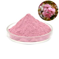 Grherb Menyediakan Ekstrak Bunga Sakura Murni Berkualitas Makanan, Bubuk Sakura