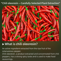 Extrait de plante Huile essentielle de piment chaud 100% naturel fait à la main avec des poivrons frais Huile de piment gourmet