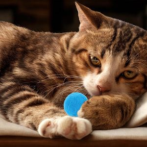 Xthrotsenk Cat Pom Pom Balls, jouet interactif en peluche coloré de 1 pouce pour l'exercice et le jeu amusant des chatons - Product Image 6