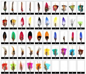 Plumes d'autruche de 4 à 8 pouces pour la décoration de chapeaux et de vêtements - Plumes naturelles colorées - Product Image 1