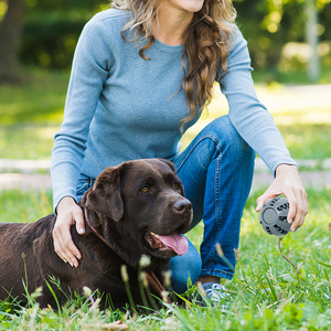 <span class=keywords><strong>Pet</strong></span> üretici çeşitli toksik olmayan Bite dayanıklı IQ eğitim 6cm 8cm evcil hayvan yemi dağıtım köpek oyuncak top - Product Image 5