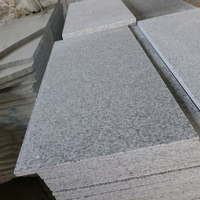 Revêtement mural et carreaux de sol en granit gris clair G603 pour l'extérieur, îlot de pierre naturelle en granit