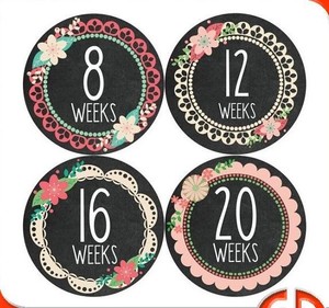 2019 Offre Spéciale Usine Fournir Directement Floral Bébé Mensuel Jalon Autocollants (<span class=keywords><strong>Lot</strong></span> de 20) -de la <span class=keywords><strong>naissance</strong></span> à 12 Mois + 7 - Product Image 1
