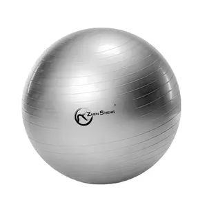Zhensheng Custom Logo Yoga Bal Gym Oefenbal Fitnessapparatuur Gym Oefeningsaccessoire Pilates Bal
