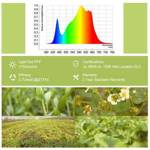 2022 החדש 1000W לגדול אור led בעוצמה גבוהה תעשיית לגדול אור led מתקן מסחרי מקורה חווה אור - Product Image 4