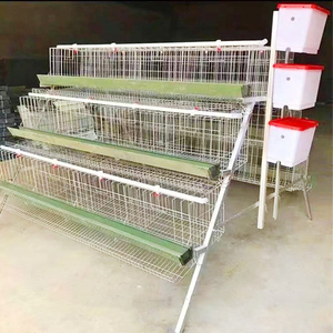 <strong>Cheap</strong> <strong>Price</strong> a Type Layer Chicken <strong>Cage</strong> for Egg Laying with Automatic Chicken Drinker and Feeder - Product Image 5