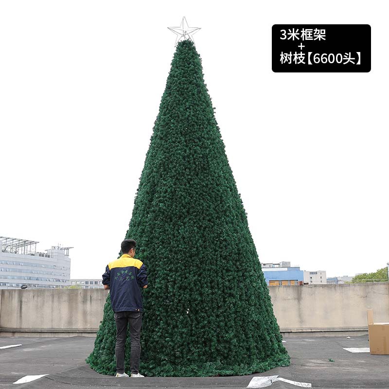 3 meters-6600T