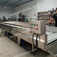 DZJX Automatique Curcuma Asperges Wagon Cutter Machine À Laver Palm Dates Fruits Et Légumes Rouleau Brosse Machine De Nettoyage