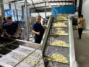 Máquina Automática de Alta Productividad para Hacer Papas Fritas Congeladas, Personalizable, para Frutas, Verduras, Patatas y Chips de Plátano - Product Image 1