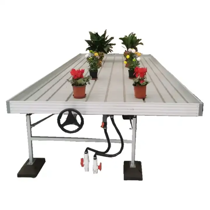 High quality custom vertical farm greenhouse tomato seeds F1 hybrid red growth bench Plant ebb and flow rolling flood tray