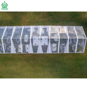 Carpa <span class=keywords><strong>de</strong></span> Jardín para Eventos y Bodas <span class=keywords><strong>con</strong></span> Techo Transparente <span class=keywords><strong>de</strong></span> 25x25, para 200 Personas, en Oferta - Product Image 2