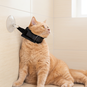 Outil de bain pour chiens et chats, anti-griffures, anti-mouvements, en nylon, pour le bain/massage, fixation auxiliaire, produit pour animaux de compagnie, fournisseur <span class=keywords><strong>d</strong></span>'articles pour animaux - Product Image 1