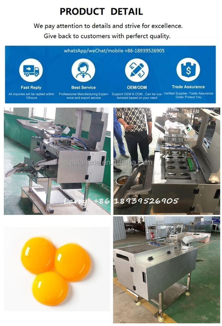 Thực phẩm cấp Trứng phá vỡ máy tách lòng đỏ trứng trắng Máy tách thép không gỉ Dây chuyền Làm rửa trứng