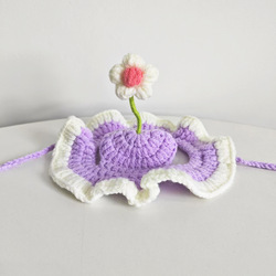 Pourpre