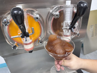 Machine à Granita et Boissons Glacées Professionnelle 1 Cuve, en Stock aux États-Unis, pour Cocktails et Boissons Frappées, Type Machine à Glace Italienne