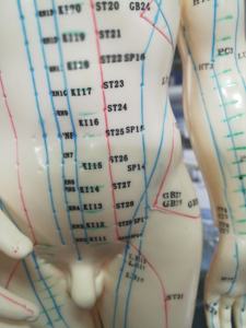 Menschliches Akupunktur modell 50cm menschliches Meridiane-Körper akupunktur punkt modell - Product Image 6