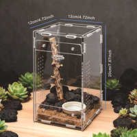 Enclos pour araignées en acrylique à ouverture magnétique sur le devant, petit habitat pour insectes, boîte d'élevage de reptiles, vitrine d'intérieur