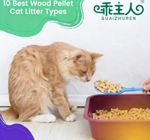 <span class=keywords><strong>Litière</strong></span> pour chat en <span class=keywords><strong>bois</strong></span> <span class=keywords><strong>de</strong></span> pin, granulés hydrosolubles, contrôle des odeurs, <span class=keywords><strong>litière</strong></span> pour chat jetable dans les toilettes - Product Image 2