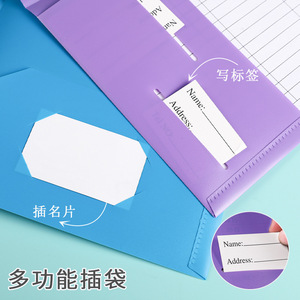 Punched Pocket <b>File</b> Folder <b>A4</b> PET Material With Name Tag Slot For Office Document Storage - Product Image 1